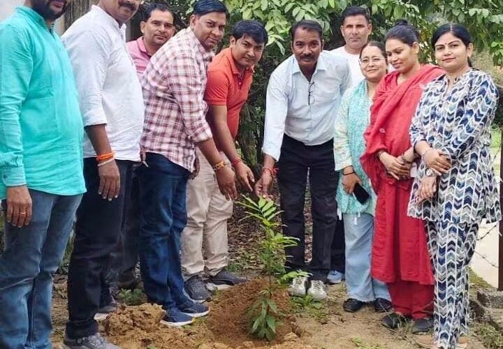 प्राथमिक स्वास्थ्य केंद्र इमलीखेड़ा में मनाया गया विश्व फार्मासिस्ट दिवस, पौधारोपण कर मरीजों को वितरित किए फल