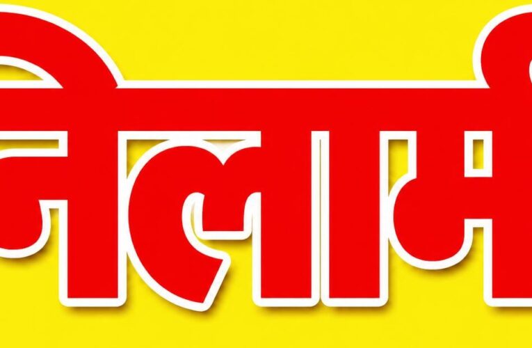 29 हरे पुराने वृक्षों की सार्वजनिक नीलामी 14 अक्टूबर को, भगवानपुर तहसील के ग्राम जलालपुर डाडा में होगी नीलामी, न्यूनतम बोली 2.75 लाख रुपये निर्धारित